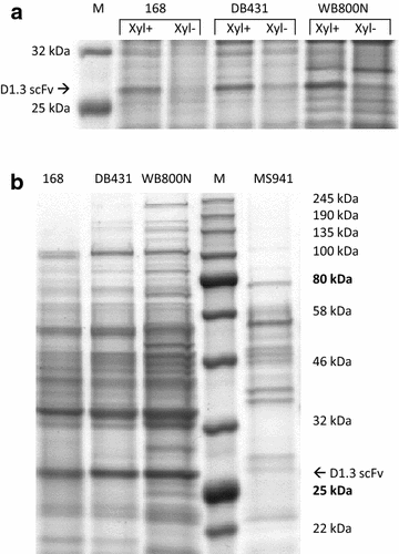 Fig. 5