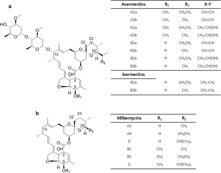 Fig. 1