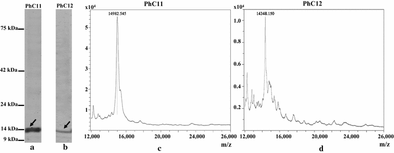 Fig. 10