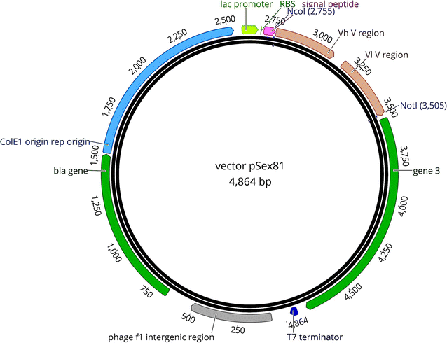 Fig. 2