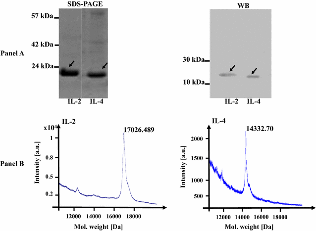 Fig. 3