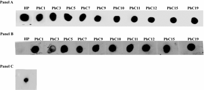 Fig. 8