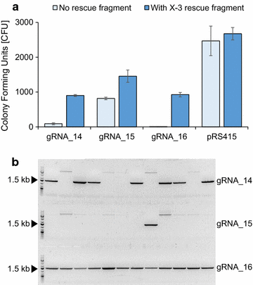 Fig. 2