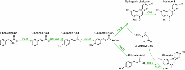 Fig. 3