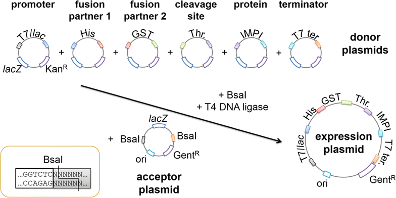 Fig. 1