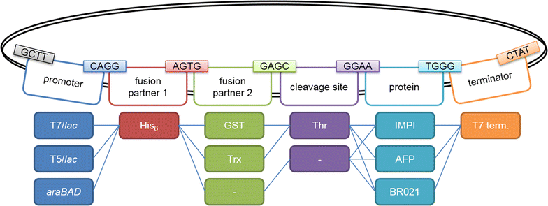 Fig. 2