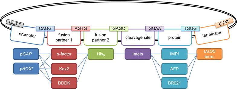 Fig. 5