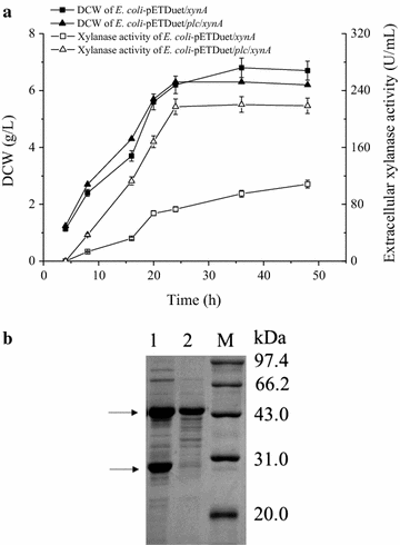 Fig. 3