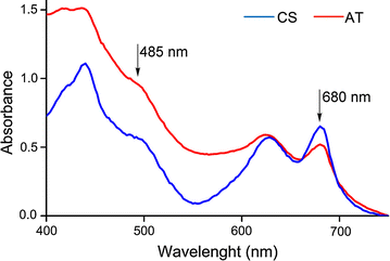 Fig. 5