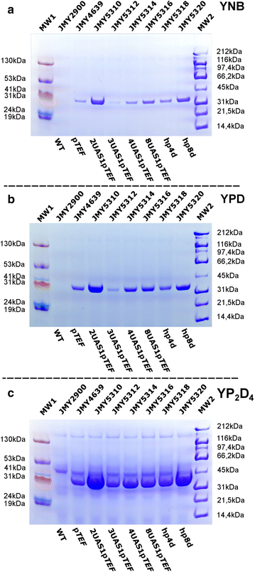 Fig. 3