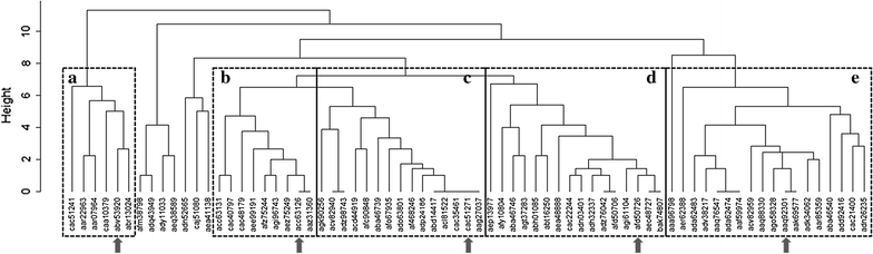 Fig. 1