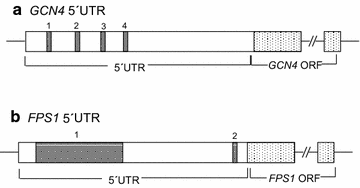 Fig. 4