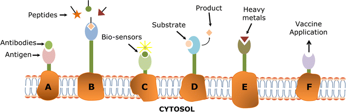 Fig. 1