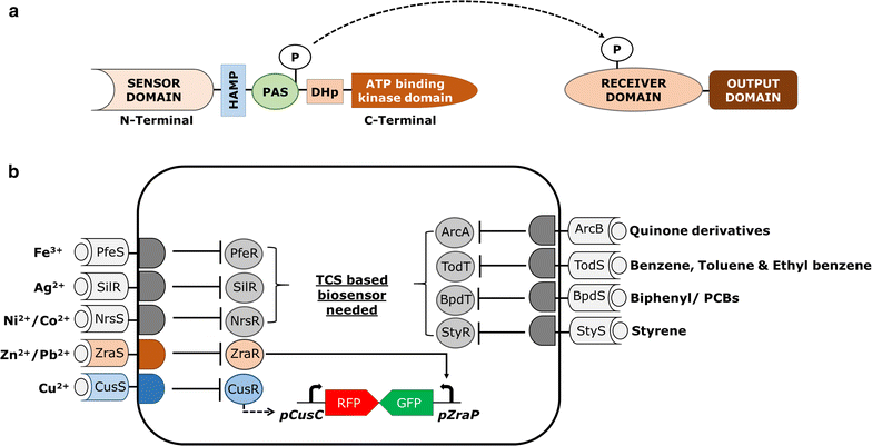 Fig. 2