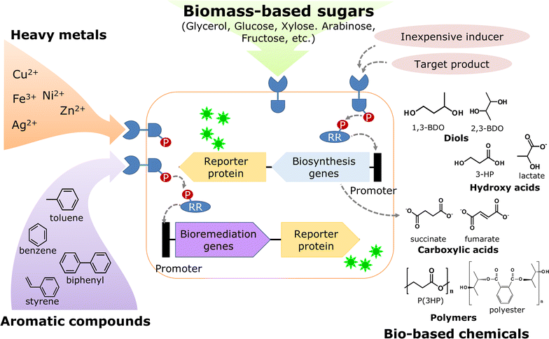 Fig. 3