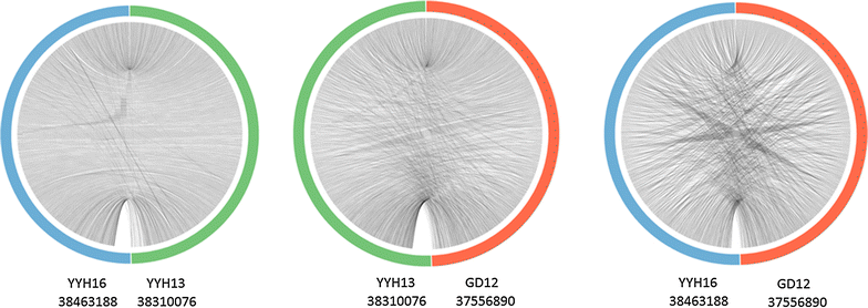 Fig. 4