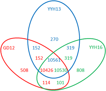 Fig. 5