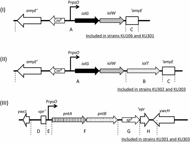 Fig. 2