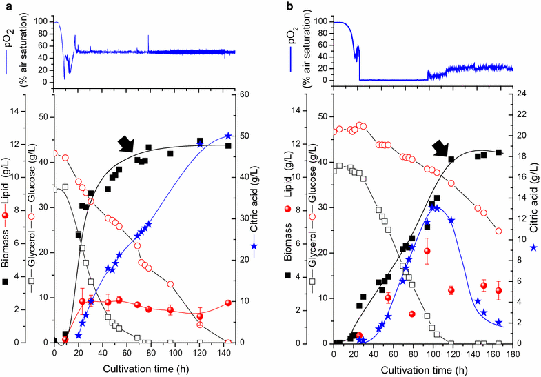 Fig. 4