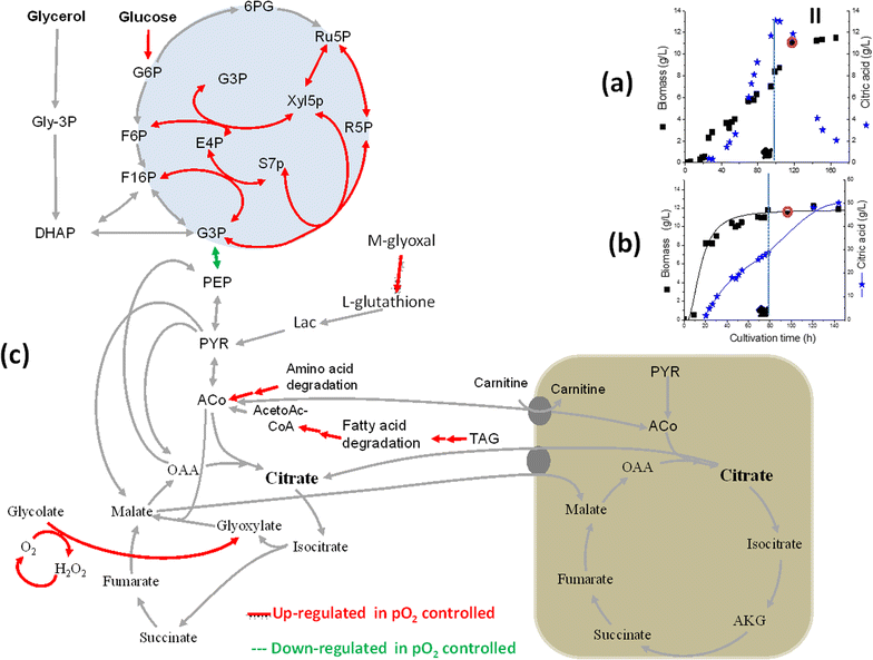 Fig. 6