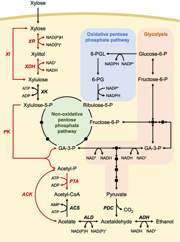 Fig. 1