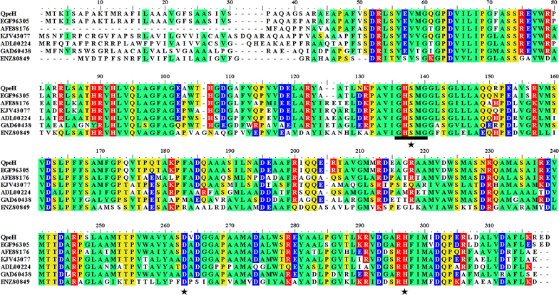 Fig. 1