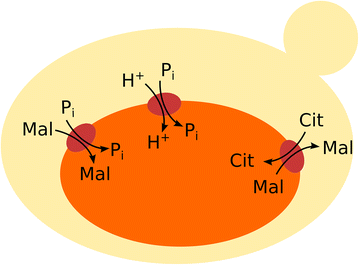 Fig. 3