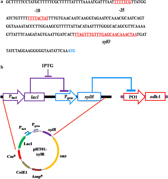 Fig. 5