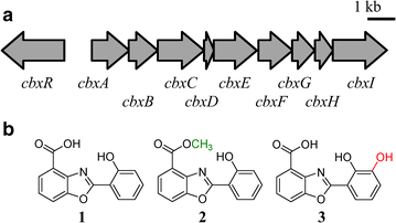 Fig. 1