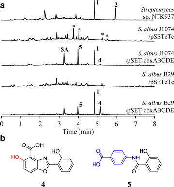 Fig. 2