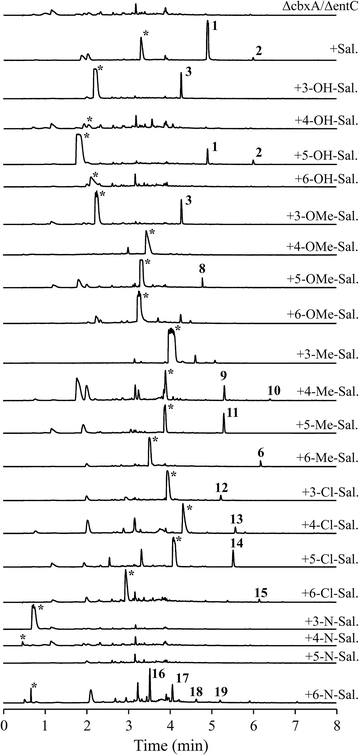 Fig. 4