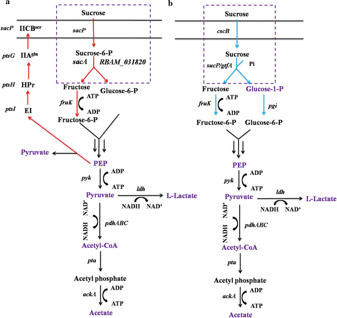 Fig. 2