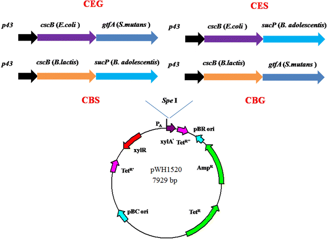 Fig. 3