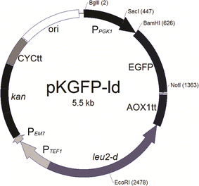 Fig. 3