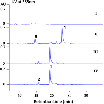 Fig. 2