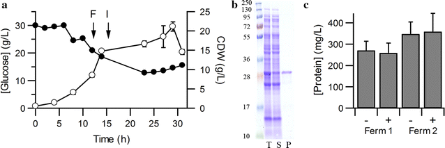 Fig. 2