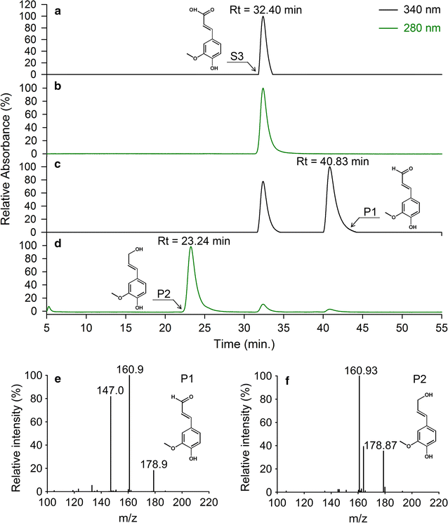 Fig. 5