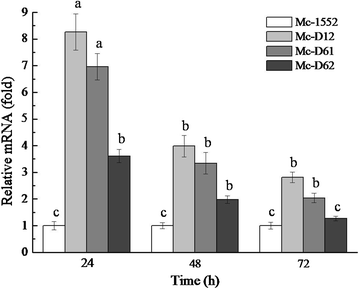 Fig. 3