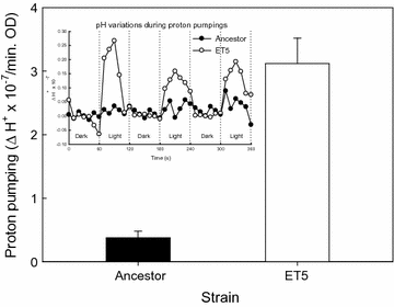 Fig. 4