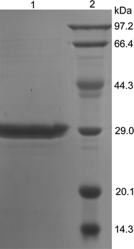 Fig. 3