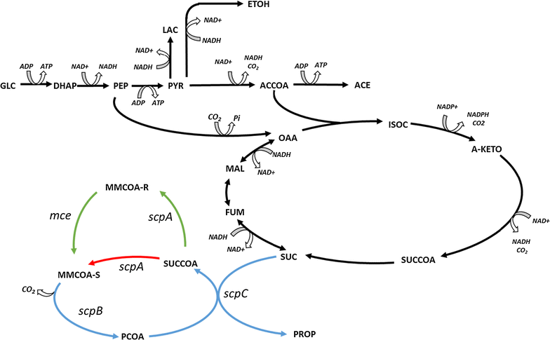 Fig. 1