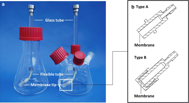 Fig. 1