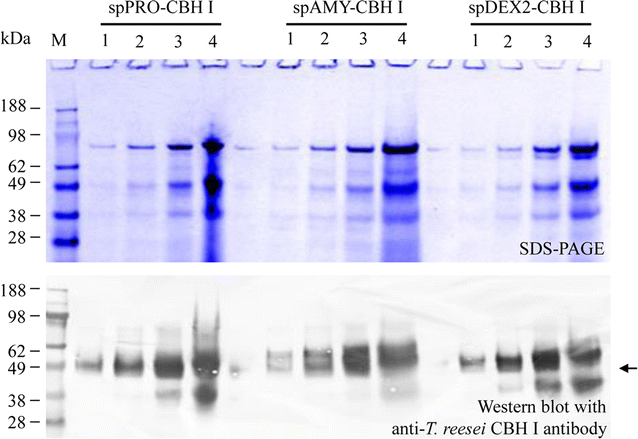 Fig. 4