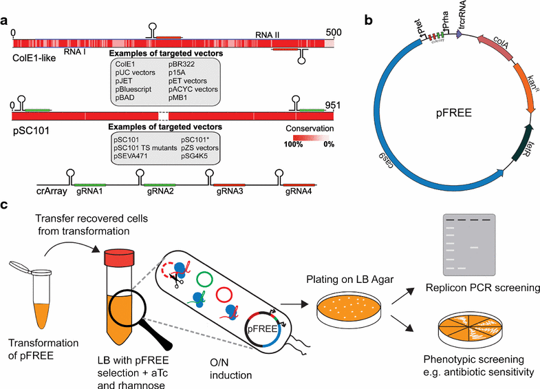 Fig. 2