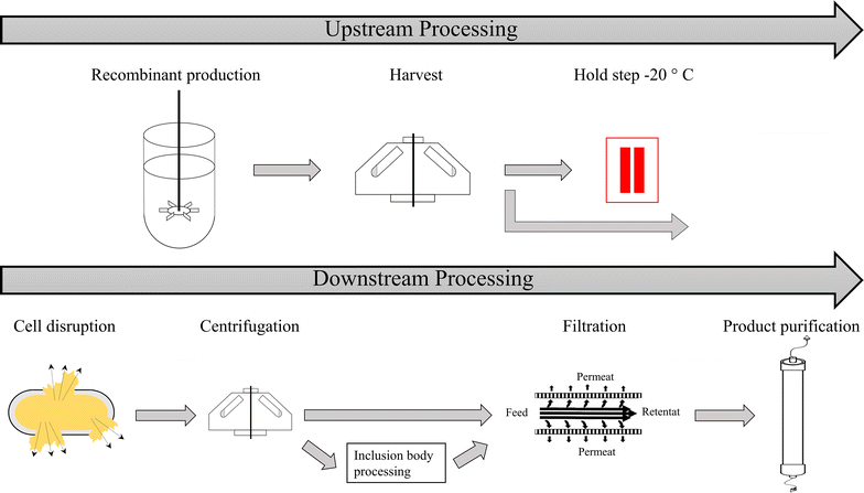 Fig. 1