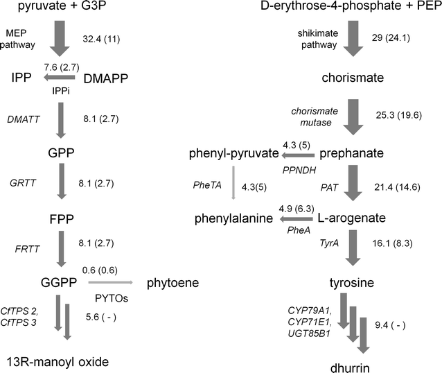 Fig. 3