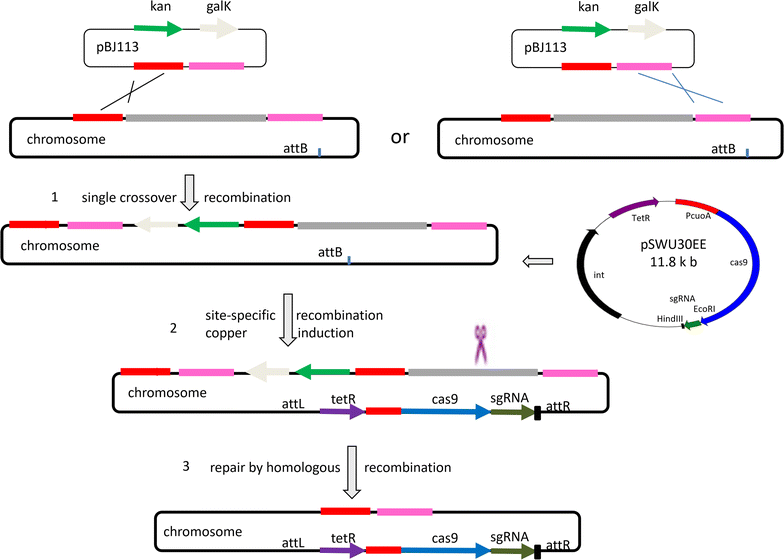 Fig. 2