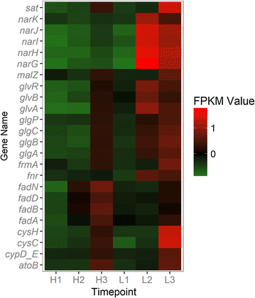 Fig. 11