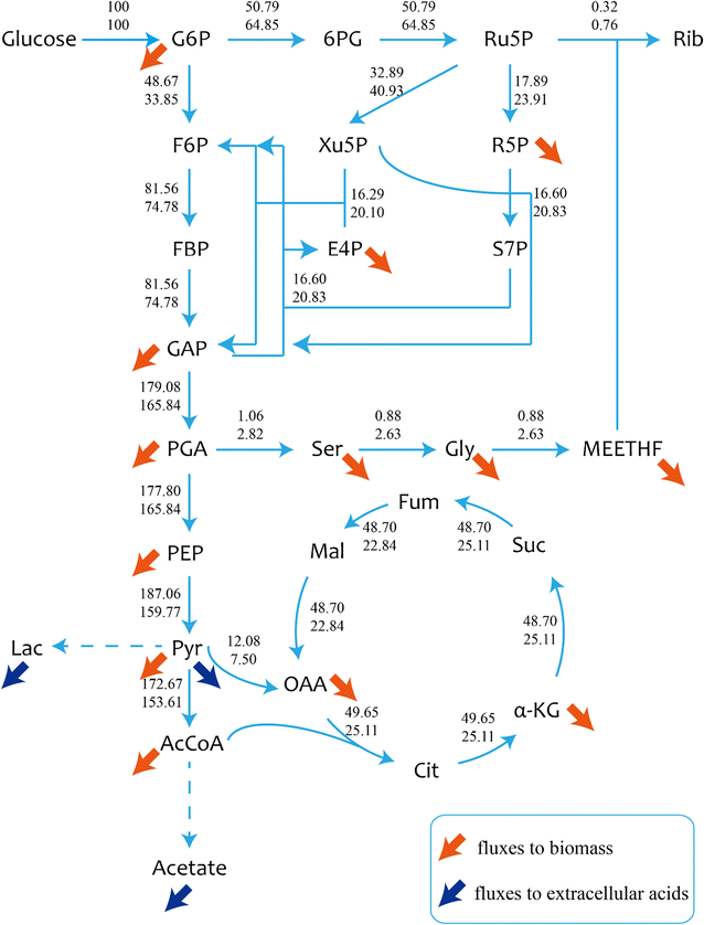 Fig. 4