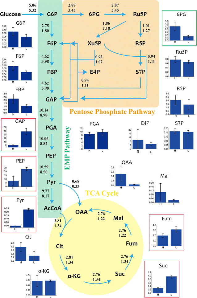 Fig. 6